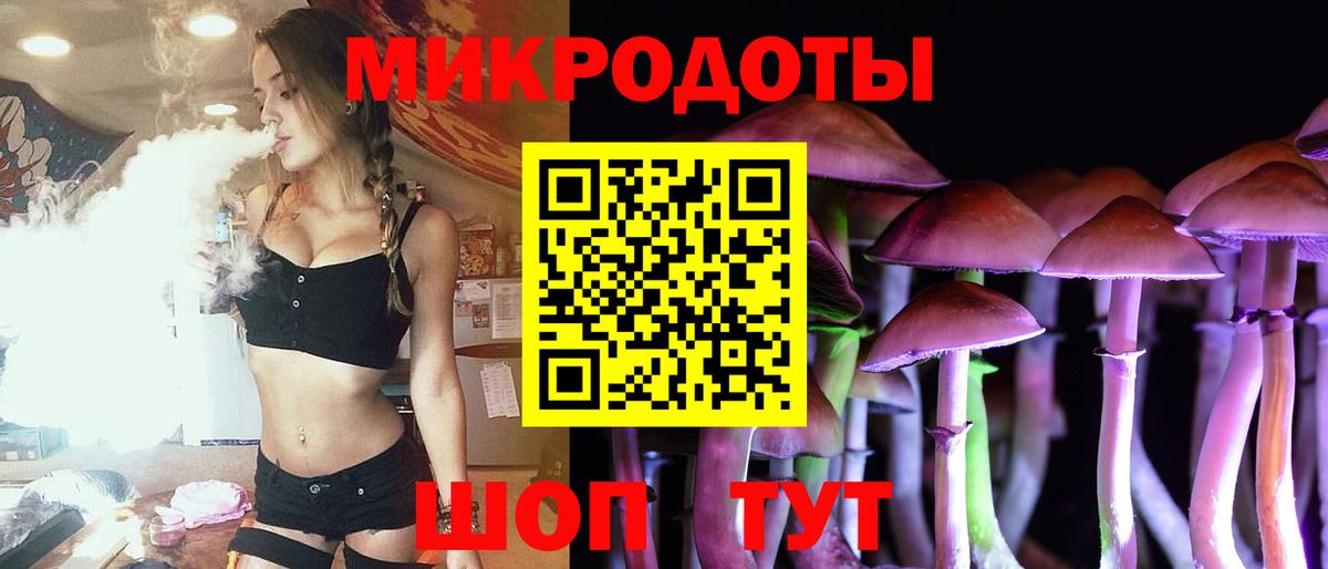 Галлюциногенные грибы Psilocybine cubensis  Вход с VPN  как найти   Новошахтинск 