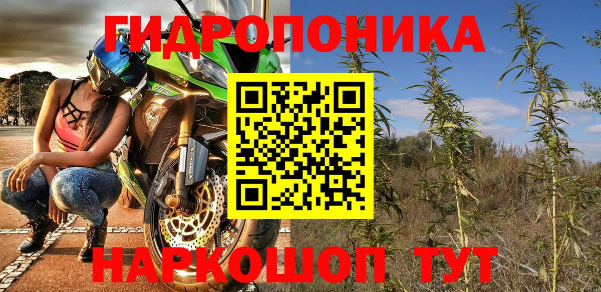 Новошахтинск  Шишки марихуана семена  Бошки Шишки индика  Бошки марихуана VHQ  Вход с VPN  Шишки марихуана семена 